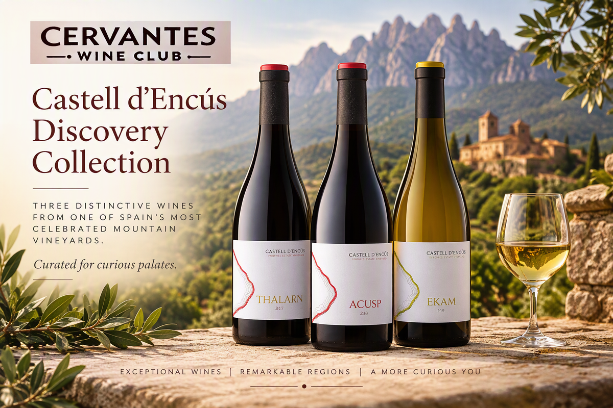 Unique Selection from Catalunya for the Fall