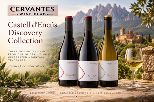 Unique Selection from Catalunya for the Fall