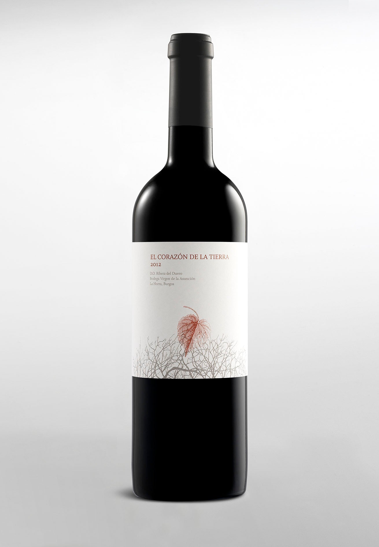 Virgen de la Asuncion, El Corazón de la Tierra, Tinto Fino, 2015