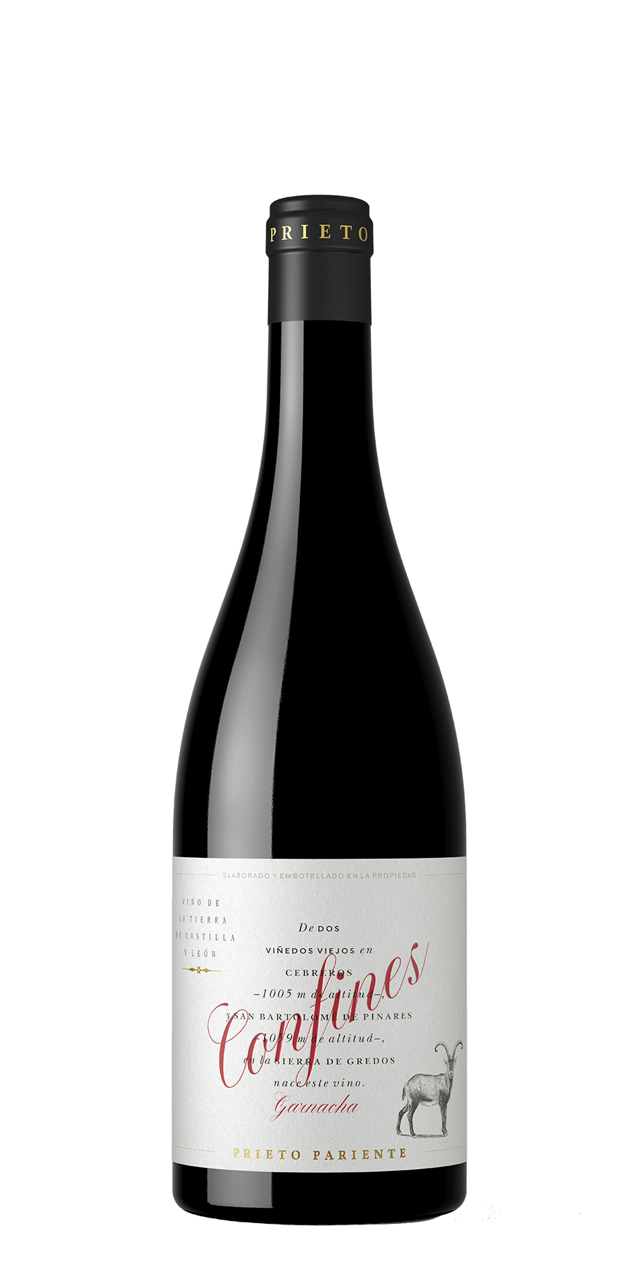 Prieto Pariente, Garnacha, 2021